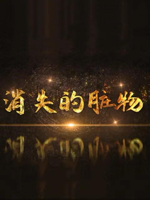 消失的脏物